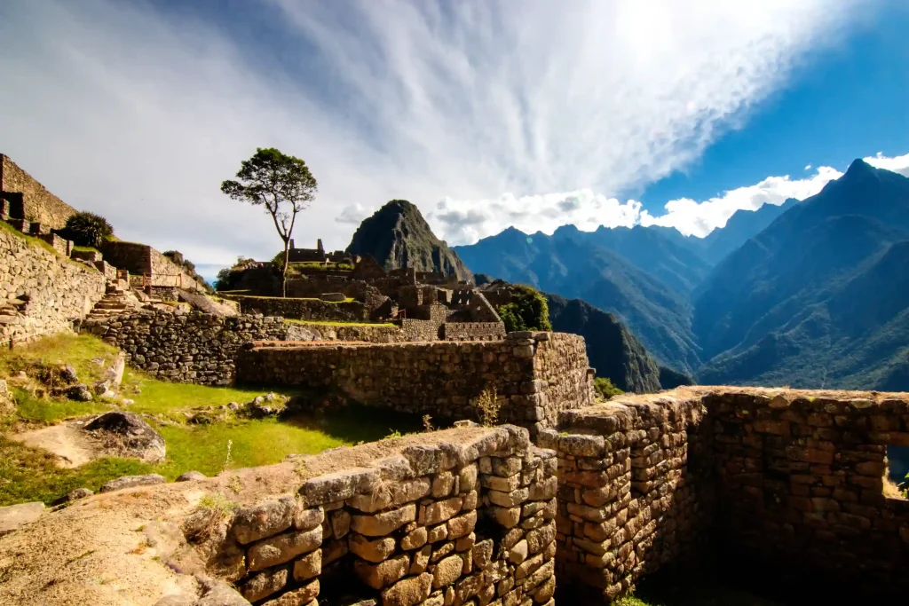 view-residential-zone-machu-picchu-its-lonely-tree-peru
