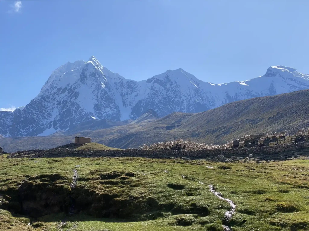 Peru Walking 8 Days and 7 Nights