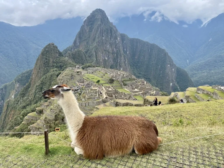 Guided tour of Machu Picchu; free time to explore or hike Huayna Picchu