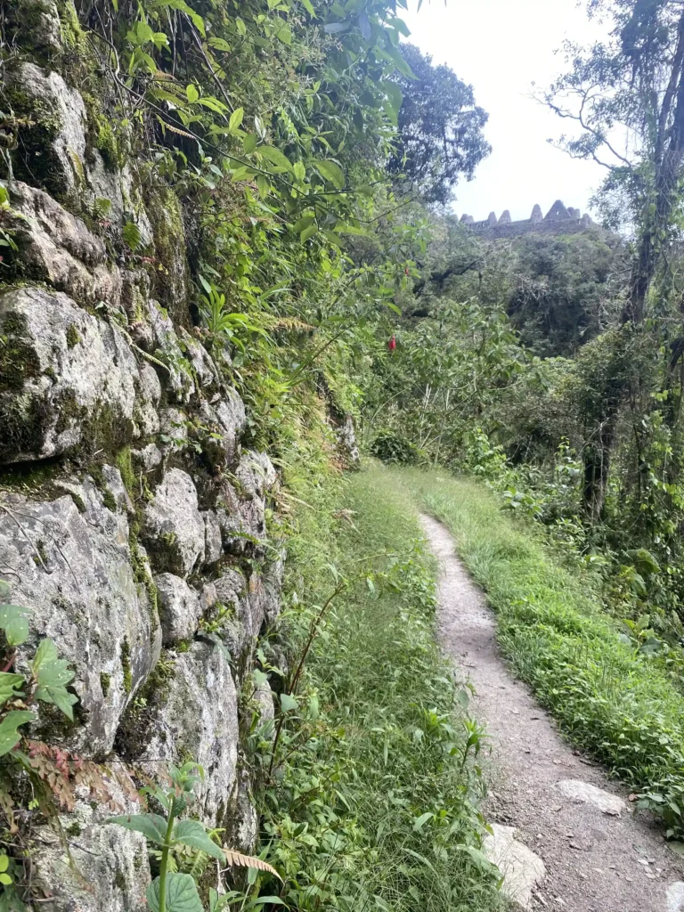 Inca trail to Machupicchu